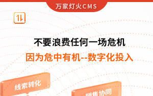 不要浪費任何一場危機，因為危中有機--數字化投入